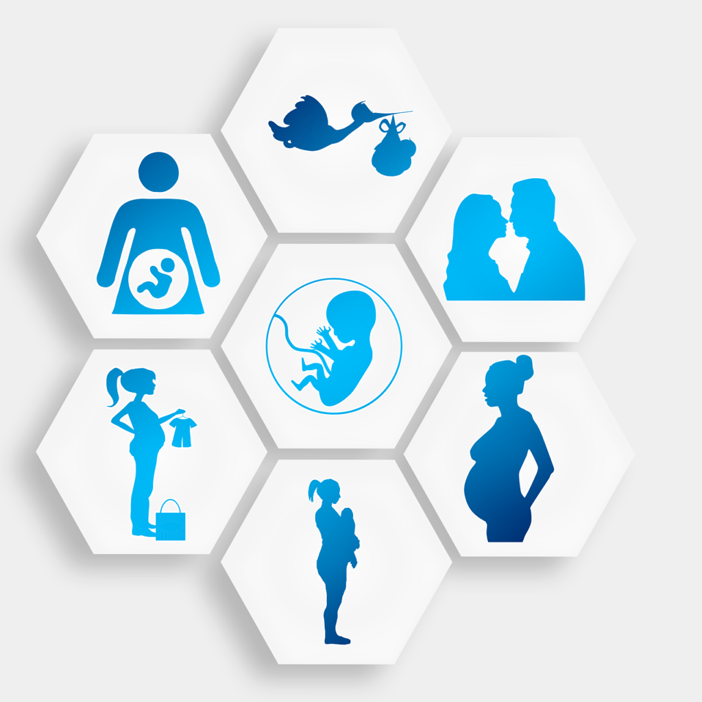 pregnancy, pregnant, stork, love, lovers, procreation, infant, embryo, purchasing, birth, hexagon, diamond, honeycomb structure, hexagonal, honeycomb, template, to travel, pregnancy, pregnancy, pregnancy, pregnancy, pregnancy, pregnant, pregnant, embryo, embryo, embryo