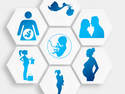 pregnancy, pregnant, stork, love, lovers, procreation, infant, embryo, purchasing, birth, hexagon, diamond, honeycomb structure, hexagonal, honeycomb, template, to travel, pregnancy, pregnancy, pregnancy, pregnancy, pregnancy, pregnant, pregnant, embryo, embryo, embryo