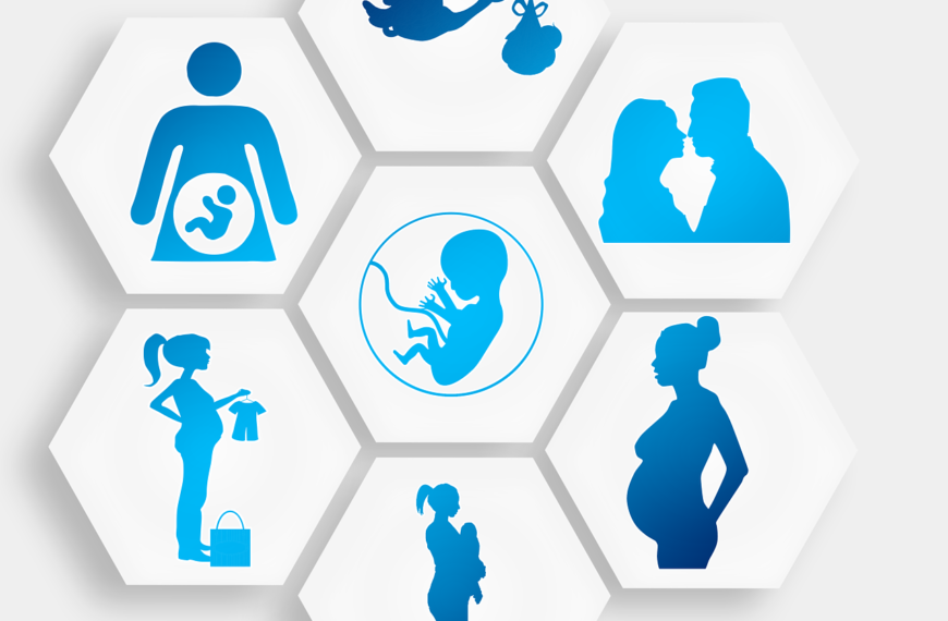 pregnancy, pregnant, stork, love, lovers, procreation, infant, embryo, purchasing, birth, hexagon, diamond, honeycomb structure, hexagonal, honeycomb, template, to travel, pregnancy, pregnancy, pregnancy, pregnancy, pregnancy, pregnant, pregnant, embryo, embryo, embryo